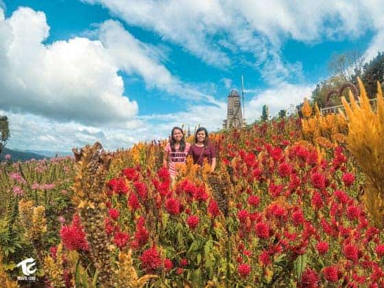 cebu tourist spots